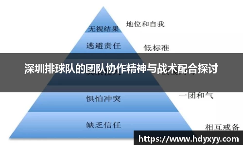深圳排球队的团队协作精神与战术配合探讨